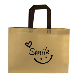 高级无纺布服装店手提袋2025新款简约包装袋加厚购物袋定制礼品袋