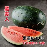 Семена арбуза Big Fruit Black Beauty 20 шт. Черная дыня 4-6 кг