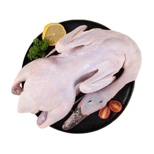 温氏农养麻鸭农家生态散养鸭子整鸭1.2kg净膛生鲜鸭肉煲鸭汤