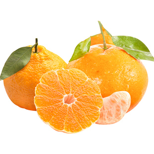 正宗春见耙耙柑8斤新鲜水果整箱当季粑粑柑杷杷柑丑桔子橘斤甜10