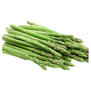 绿芦笋种子种籽苗带土根紫色四季种植小苗老根三年根苗孑种根树苗