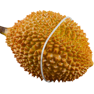 捆榴莲扎带高强度加长尼龙捆绑带替代皮筋束线带自锁卡扣塑料扎带