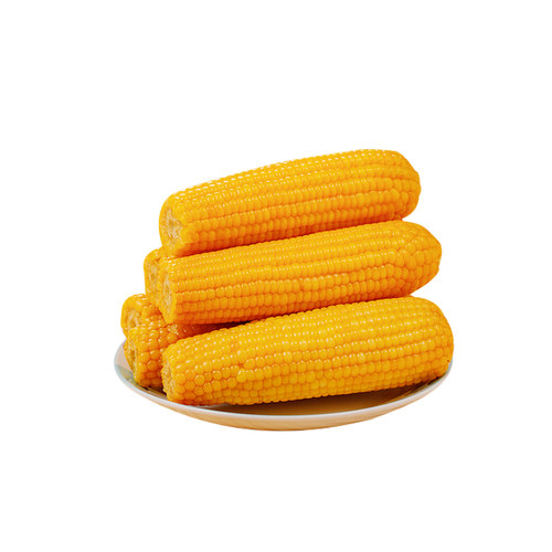玉米