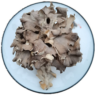 高山灰树花干货舞茸菌栗蘑菇云南楚雄土特产口感脆嫩含多糖营养好