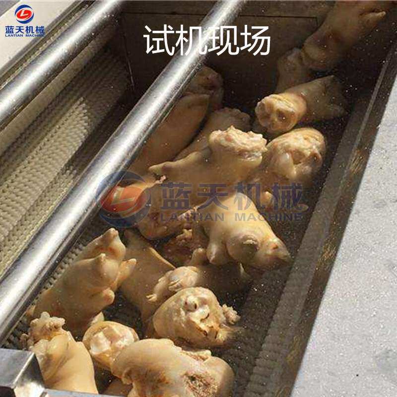 蓝天大姜毛辊去皮清洗机 不锈钢生姜去皮清洗机 黄姜毛刷清洗设备