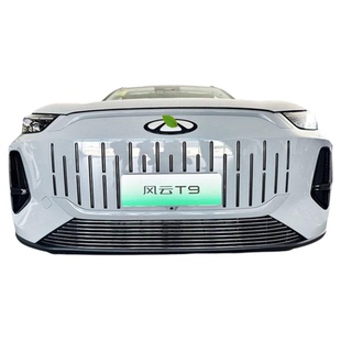 奇瑞风云T9中网外观防虫网改装配件前脸格栅专用汽车防护用品亮条