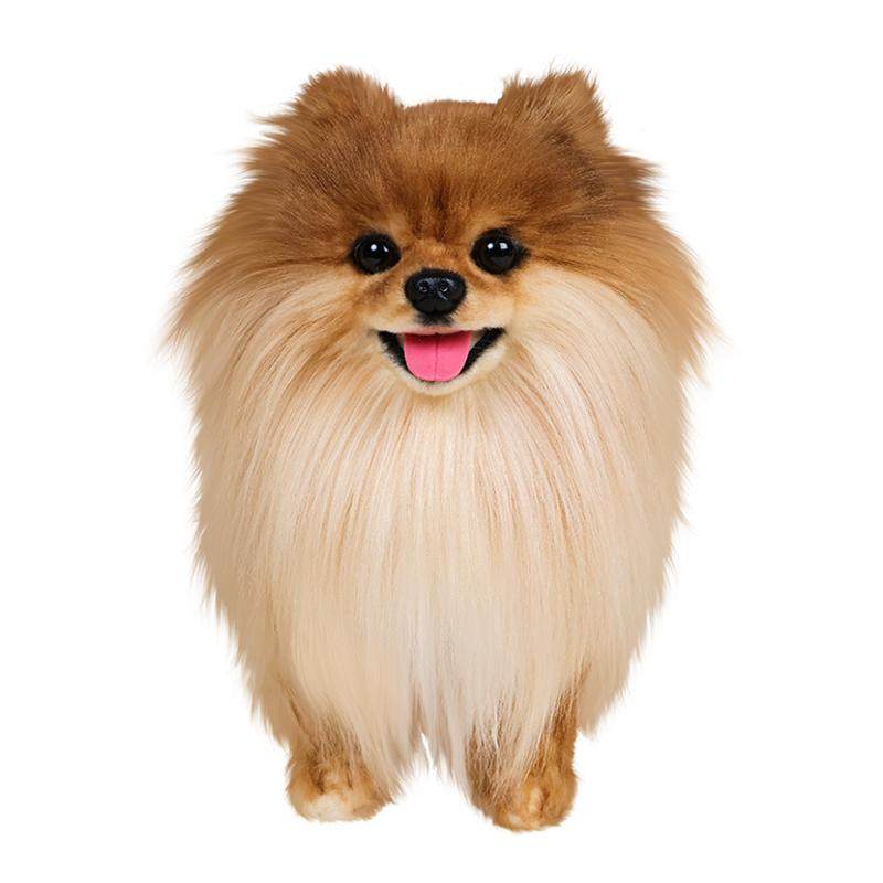 美国卡豆克隆仿真博美犬狗狗玩偶公仔毛绒玩具男女孩陪伴生日礼物