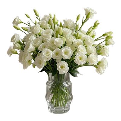 【云南直发】洋桔梗鲜花插花水养