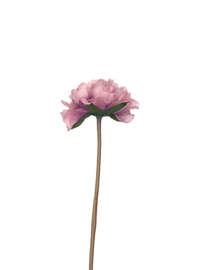 重瓣芍药仿真花ins装饰摆件唯美