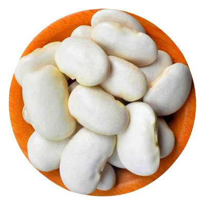 南通海门特产干货白扁豆籽洋扁豆籽农家自产崇明小扁豆500克包邮