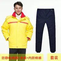 Комплект, желтый пуховик, штаны, вкладыш, 3 предмета