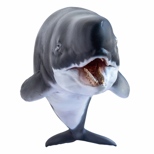 PNSO利维坦鲸雷克纳恐龙大王成长陪伴模型56