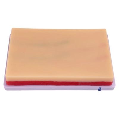 蓝蝶静脉注射穿刺模块教具