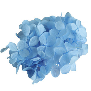 等花来diy材料包小份玻璃罩原材料亚特兰蒂斯梦幻木绣球永生花