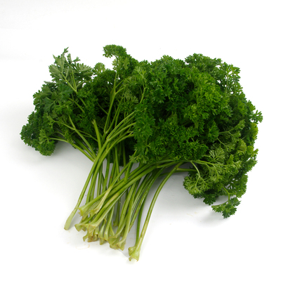 荷兰芹新鲜番茜卷叶欧芹食用法香芹西洋芹烘培酒楼摆盘装饰菜包邮