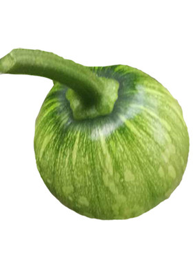 新鲜嫩南瓜露天蔬菜当季时令蔬菜炒丝丝的重庆农家本地迷你小南瓜
