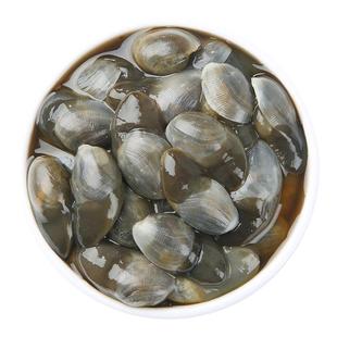 舟山特产泥螺即食罐装级大号特新货鲜活腌制生腌海鲜黄泥螺醉泥螺