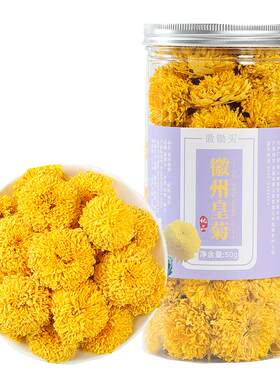 徽州婺源徽州皇菊一朵一杯