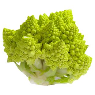 宝塔菜种子花椰菜种籽彩色菜花秋四季阳台紫黄绿色日本引进蔬菜孑
