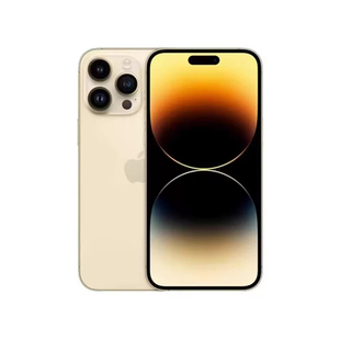 Apple/苹果iPhone 14Pro Max国行正品苹果13ProMax5G全网通已激活