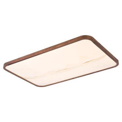 雷士照明简约现代吸顶灯