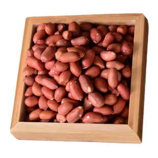 红皮花生米红皮花生仁生花生米爆款新鲜可油炸花生四粒红好吃的