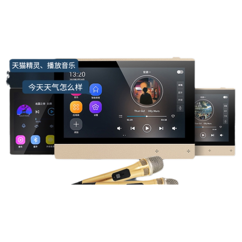 先科B10智能吸顶式5.1家庭影院音响套装背景音乐控制功放主机系统