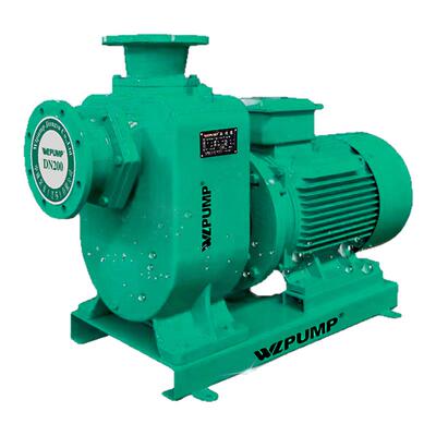 增压泵中威/WLPUMP铸铁