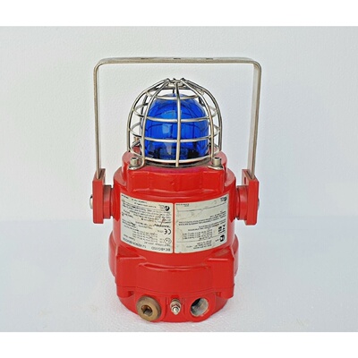 E2S BExBG05D Xenon Beacon 5 Joule 230 VAC  Explosion Proof B