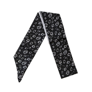 突然的喜欢林欢儿王玉雯同款丝巾薄款细窄绑发领巾头饰2026新款