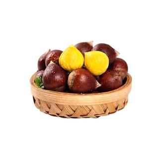 【顺丰包邮】2025年建瓯锥栗新鲜现摘圆尖栗子高山毛栗子油栗板栗