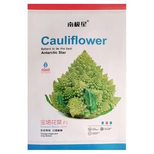 宝塔菜花椰菜蔬菜种子苗特色菜花花菜孑四季籽种蔬菜种籽秧菜籽