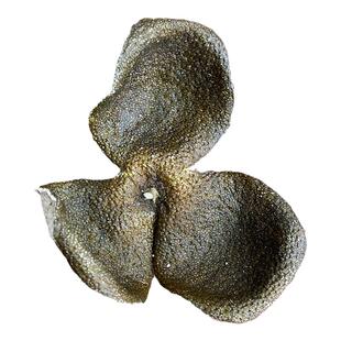 鼎雄厂家直销5年陈新会梅江圈枝大青皮9年老树天马老陈皮真实年份