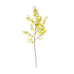 HarborHouse美式家居假花仿真花摆设轻奢高端花艺跳舞兰Dancing