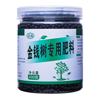 金钱树肥料专用营养液治疗黄叶