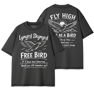 Lynyrd Skynyrd乐队复古美式街头设计感圆领宽松纯棉摇滚短袖T恤