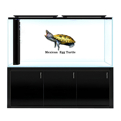 鱼缸背景画定做高清鳄龟蛋龟窄桥