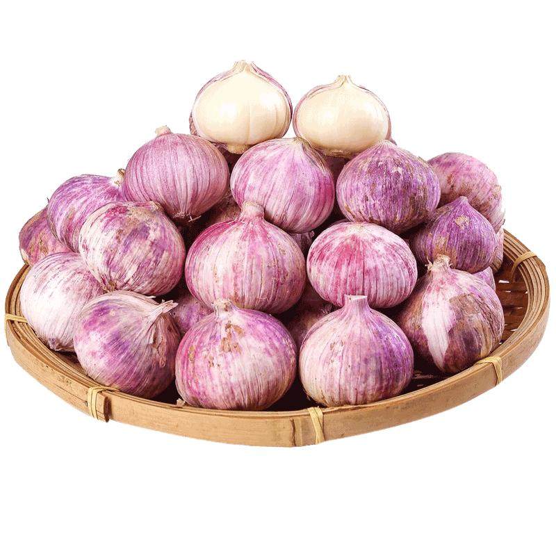 农家自种独头蒜新鲜紫皮蒜