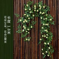 Victoria Buds и Cane White