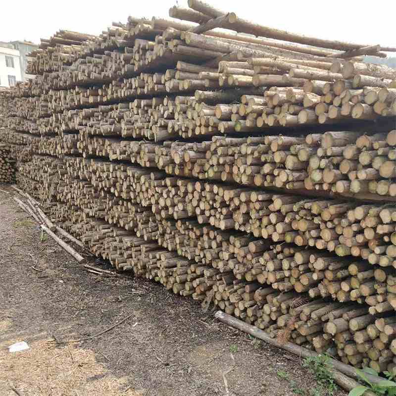 林场绿化支撑杆防汛打桩木桩木杆绿化支撑杆1-2-3-4-5-6园林米