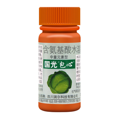 国光包心剂大白菜甘蓝包