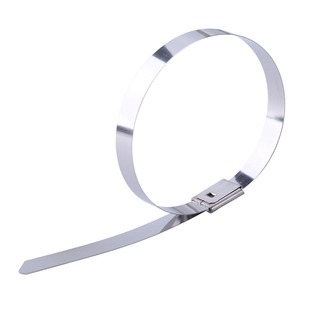 自锁式304不锈钢扎带4.6*300mm防盗工具固定锁紧卡扣打包带勒死扣