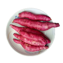 新鲜红薯蜜薯蒸烤超甜无丝地瓜5斤包邮