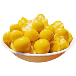 2025现摘东北姑娘果新鲜大果菇娘果当季水果黄灯笼果5斤姑鸟包邮