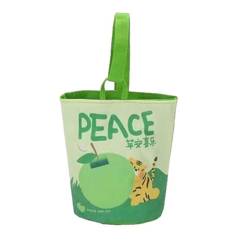手提水桶帆布包幼儿园生日伴手礼礼物袋随身手提包女轻便百搭迷你