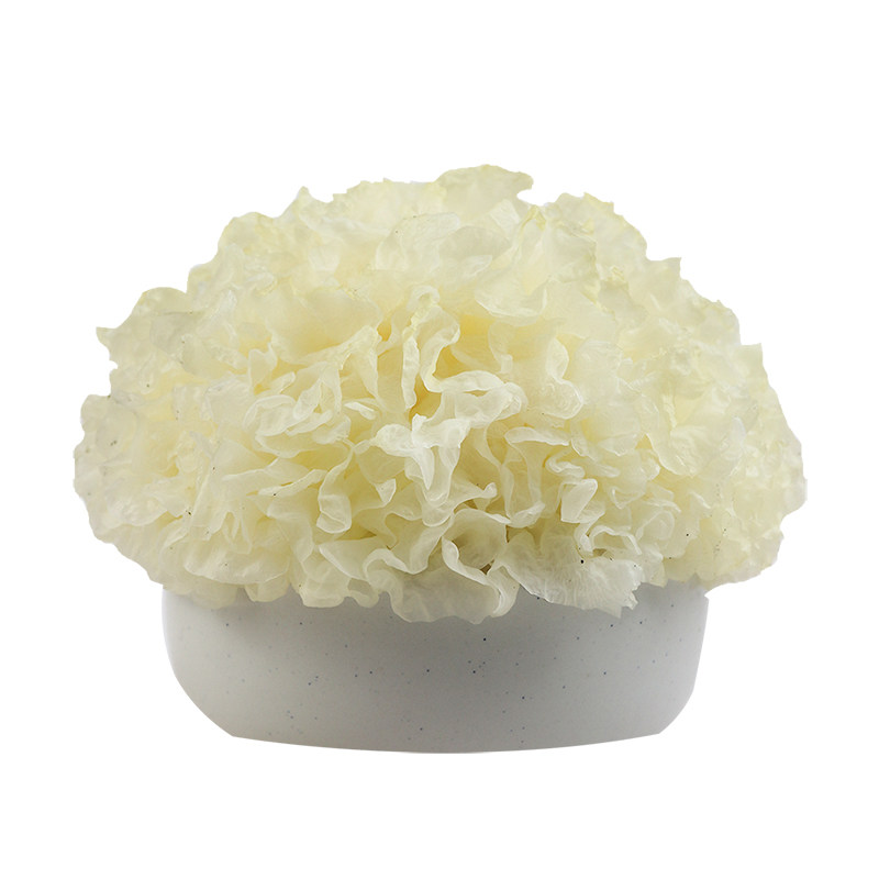 咪儿小厨6朵新鲜银耳盒装古田农家白木耳活雪耳湿糯耳非干货 顺丰
