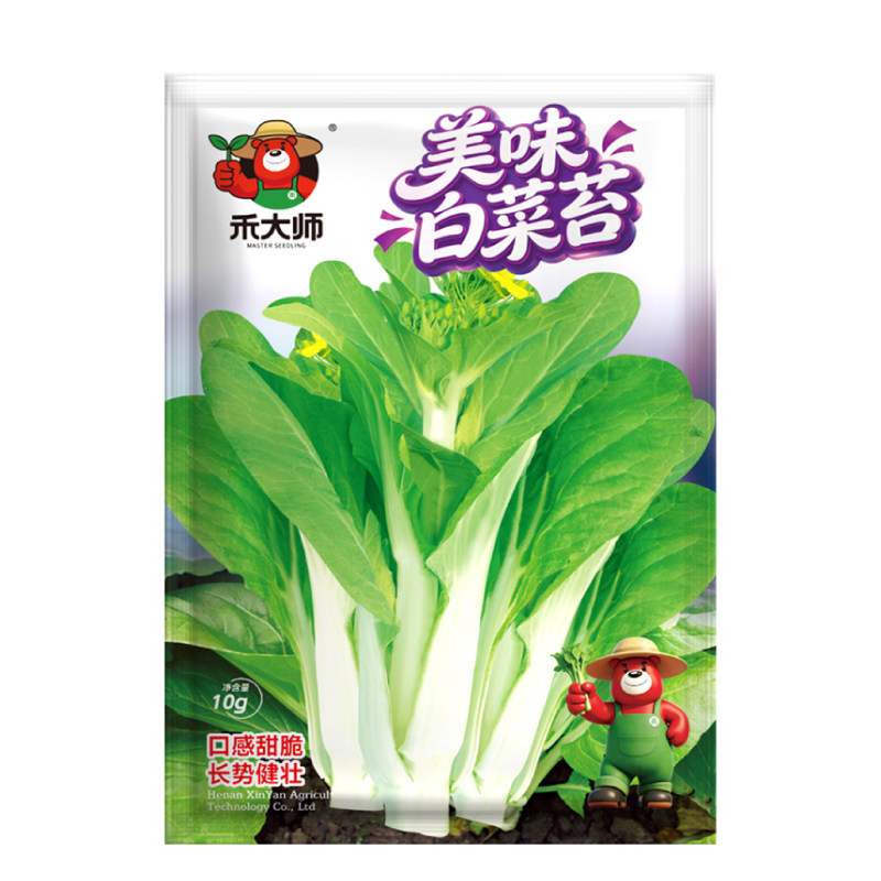 四季白菜苔种子高产菜心种籽农家菜园盆栽春秋新鲜白菜苔蔬菜种子