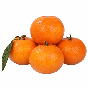 正宗广西武鸣沃柑橘子新鲜水果整箱10斤礼盒现摘沙糖蜜橘砂糖大果