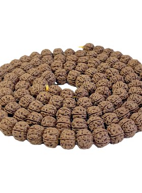 【一物一图】纯血老树王小金刚