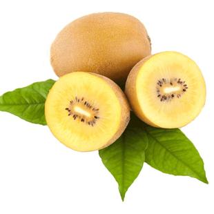 顺丰特大果礼盒四川黄心猕猴桃新鲜水果弥猴桃当季孕妇包邮奇异果